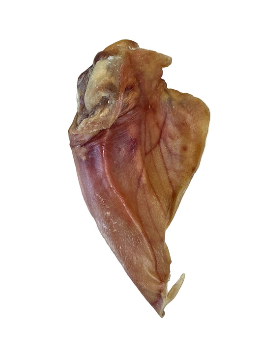 Harmony Special - Dehydrated Dog Treats - Pig Ear