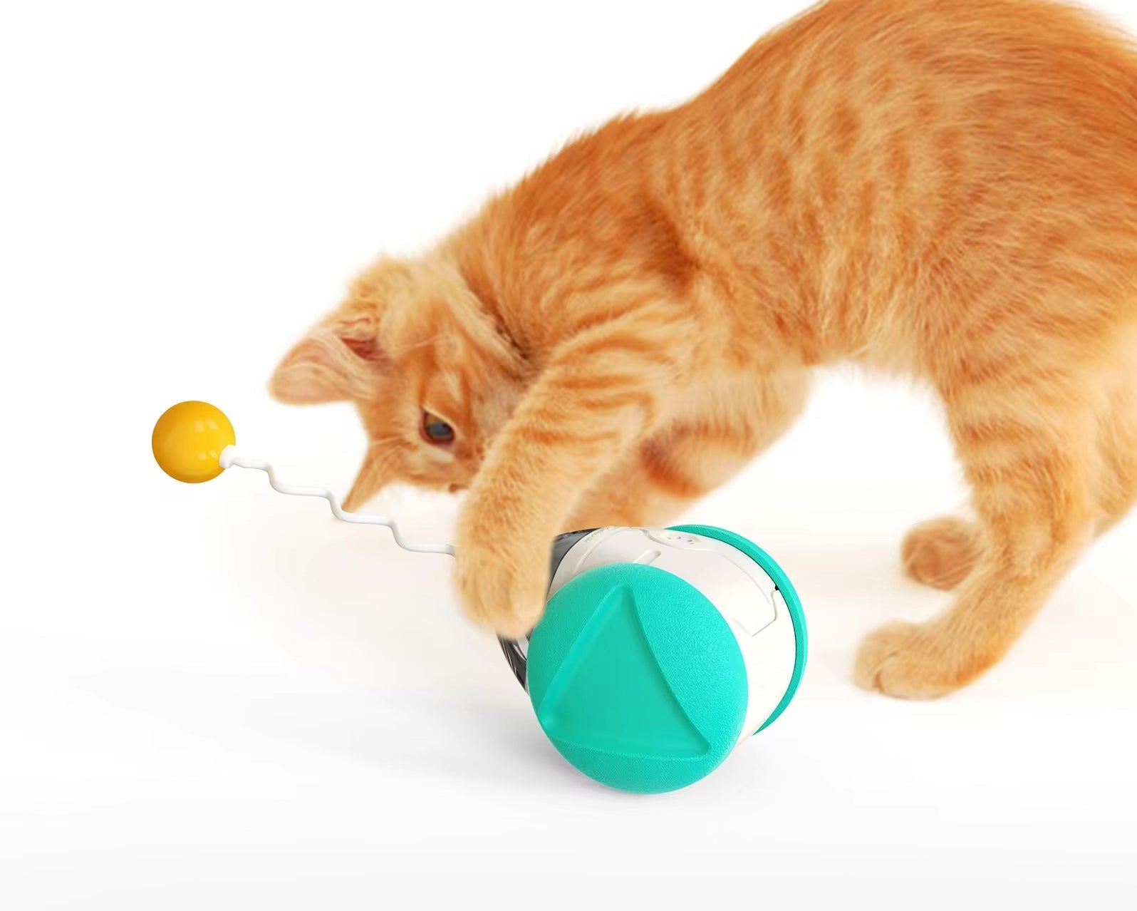 Interactive Squeaky Balance Toy – Fun for Dogs & Cats Harmony Pet Supplies Scarborough