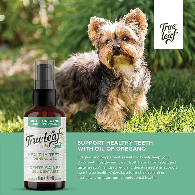 True Leaf™ Healthy Teeth Dental Gel
