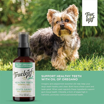 True Leaf™ Healthy Teeth Dental Gel