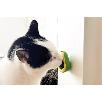 BeOneBreed-Catnip Avocado-Cat Toy Use Details