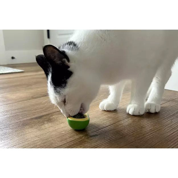BeOneBreed-Catnip Avocado-Cat Toy Details