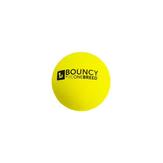 BeOneBreed Bouncy Ball-Dog Toy - Front