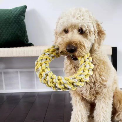 BeOneBreedRopeRing-DogToy Details