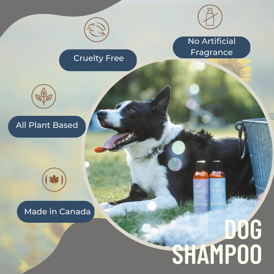 Dog shampoo product with a dog in a natural setting, featuring cruelty-free, no artificial fragrance, all plant-based, and made in Canada labels at Harmony Pet Supplies, Scarborough.