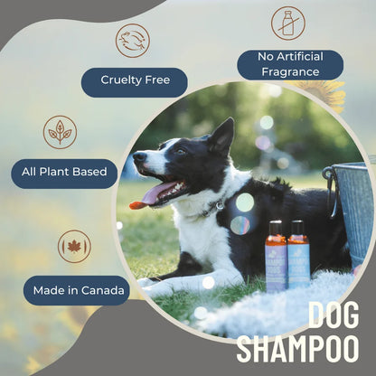 Dog shampoo product with a dog in a natural setting, featuring cruelty-free, no artificial fragrance, all plant-based, and made in Canada labels at Harmony Pet Supplies, Scarborough.