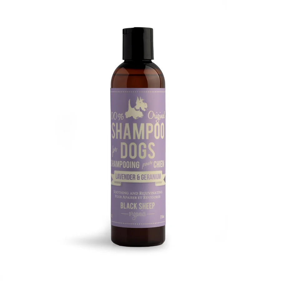 Dog shampoo bottle with purple label on a white background at Harmony Pet Supplies, Scarborough