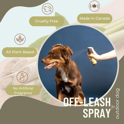 Dog being sprayed with off-leash spray by a hand, with product features highlighted on a green and brown background at Harmony Pet Supplies, Scarborough.