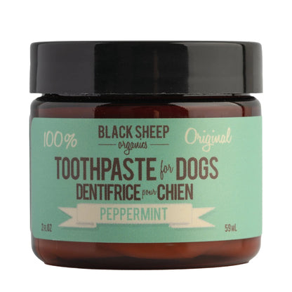 A jar of Black Sheep Organics Original Toothpaste for Dogs in Peppermint flavor, featuring a black lid and a mint green label on an amber glass jar at Harmony Pet Supplies, Scarborough.