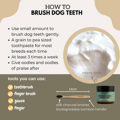 Instructions on how to brush a dog's teeth with a visual of toothpaste and tools Black sheep tooth paste at Harmony Pet Supplies, Scarborough.