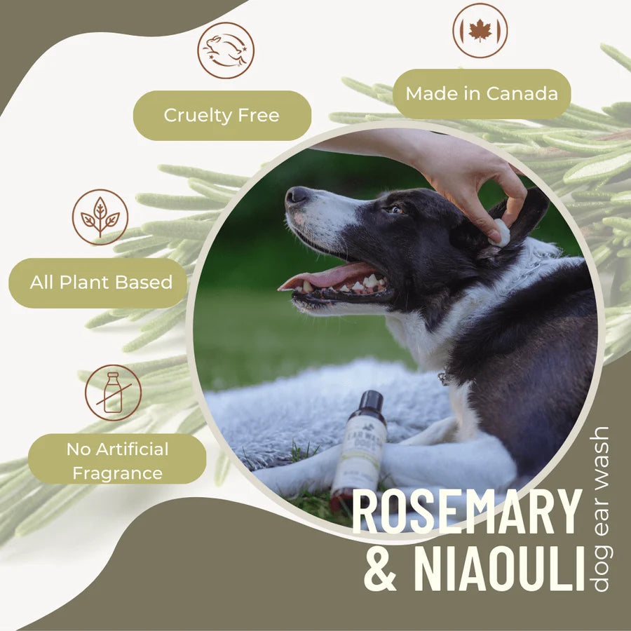 Dog ear wash product with a dog being petted, surrounded by plant-based and cruelty-free icons at Harmony Pet Supplies, Scarborough.
