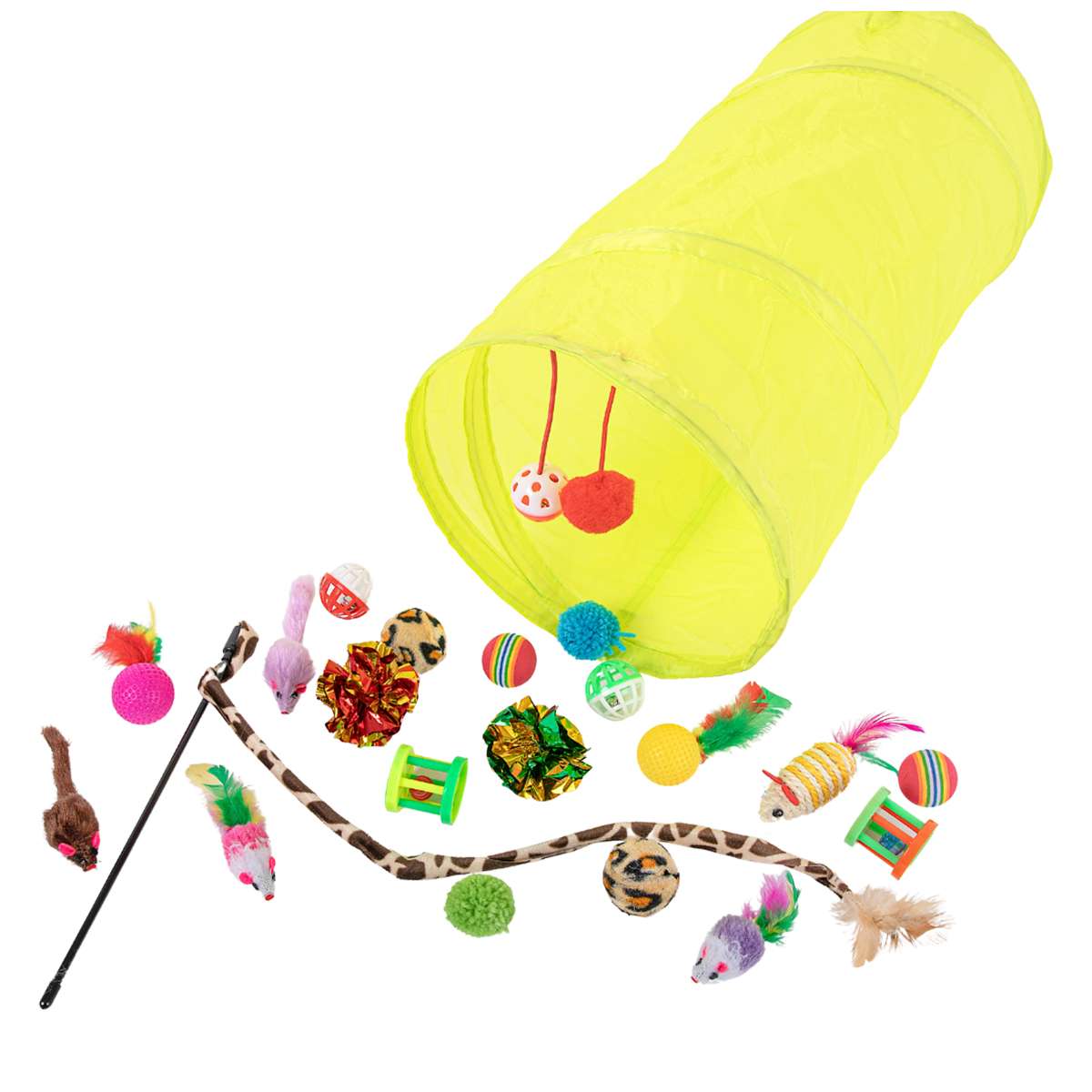 Cat Starter Kit