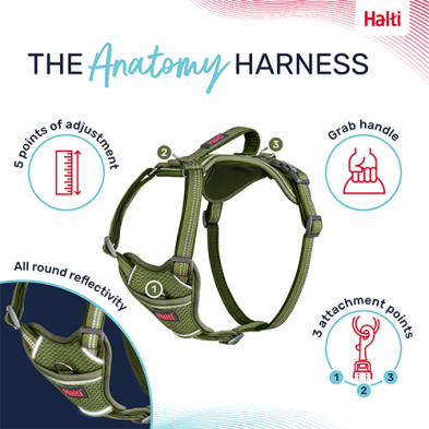 An olive green dog harness shown on a white background with marketing callouts and icons. The image includes the Halti brand logo, the text 'THE Anatomy HARNESS,' and callouts highlighting 5 points of adjustment, a grab handle, and 3 attachment points at Harmony Pet Supplies, Scarborough.