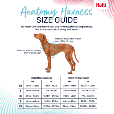 An anatomy harness size guide for dogs, featuring a brown dog illustration with measurement lines and a size chart table listing measurements for XS, S, M, L, and XL at Harmony Pet Supplies, Scarborough.