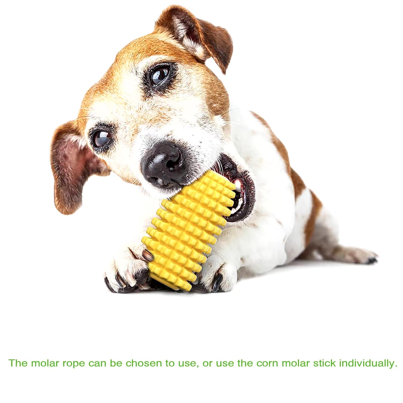 Indestructible Chew Toy for Aggressive Chewers Dog – Corn-Shaped Harmony Pet Supplies Scarborough