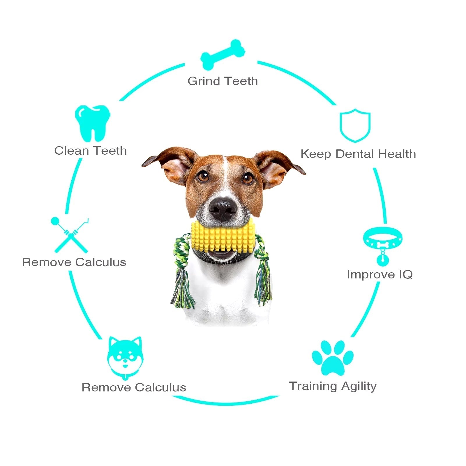 Indestructible Chew Toy for Aggressive Chewers Dog – Corn-Shaped Harmony Pet Supplies Scarborough