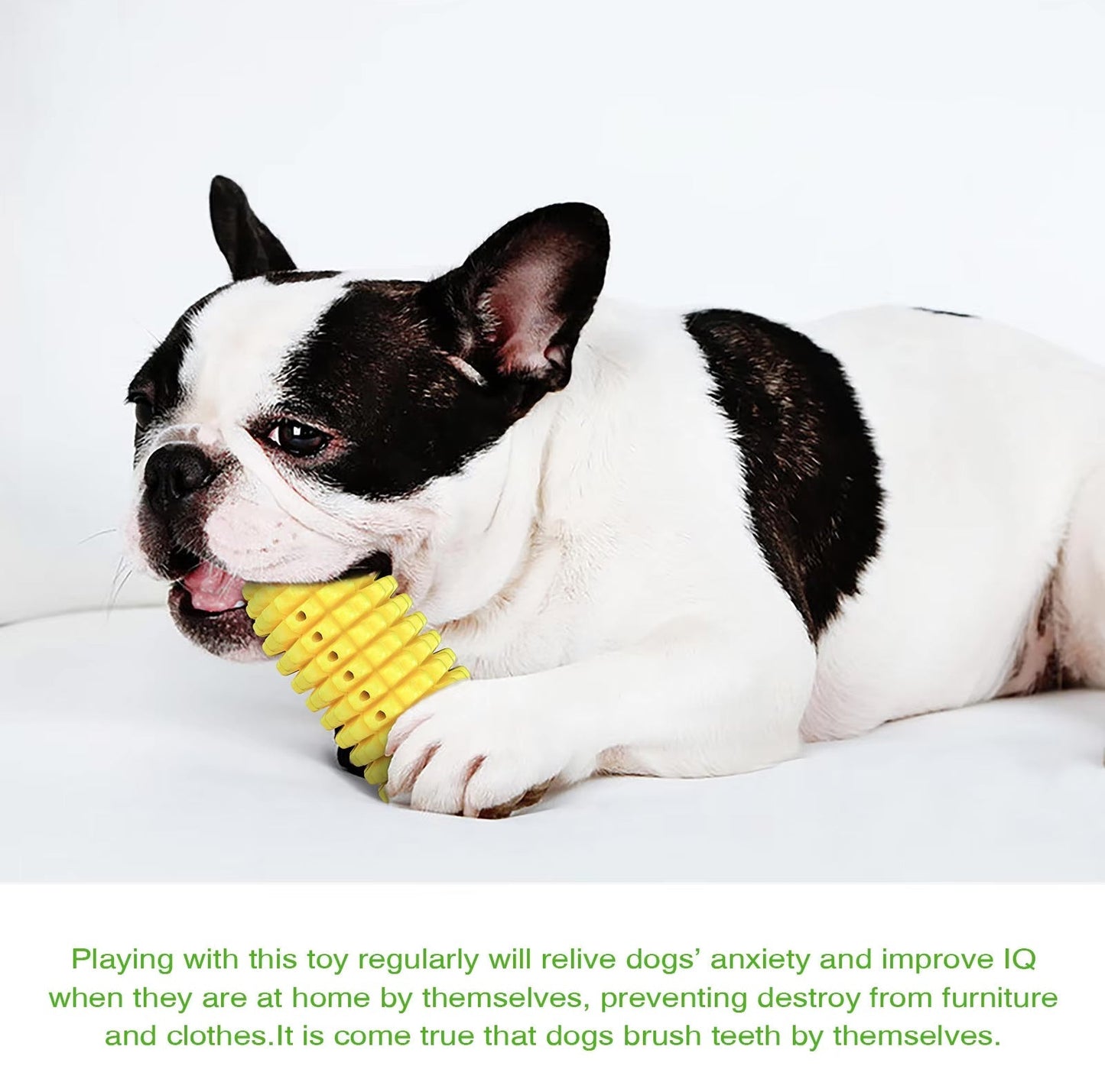 Indestructible Chew Toy for Aggressive Chewers Dog – Corn-Shaped Harmony Pet Supplies Scarborough