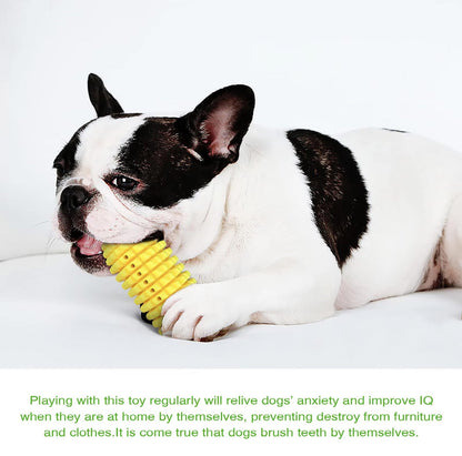 Indestructible Chew Toy for Aggressive Chewers Dog – Corn-Shaped Harmony Pet Supplies Scarborough