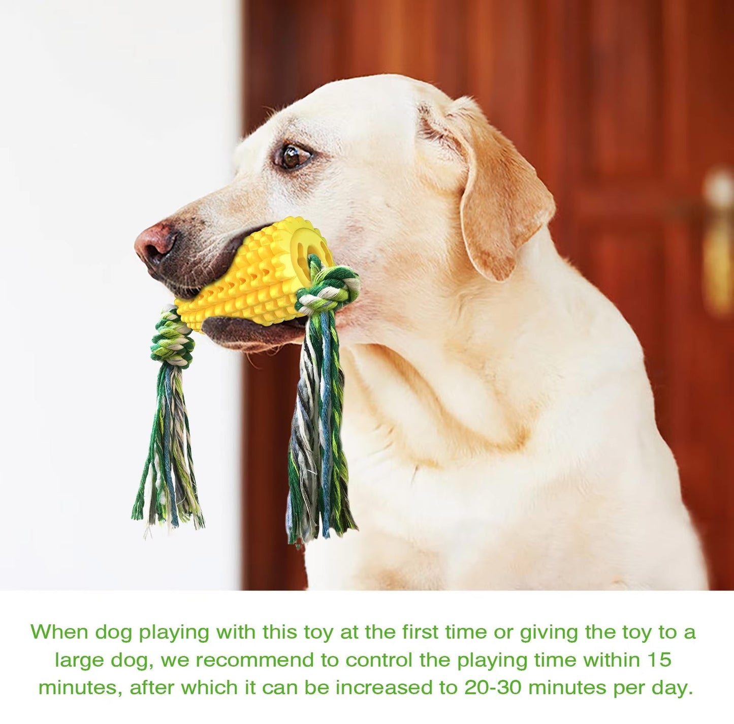 Indestructible Chew Toy for Aggressive Chewers Dog – Corn-Shaped Harmony Pet Supplies Scarborough