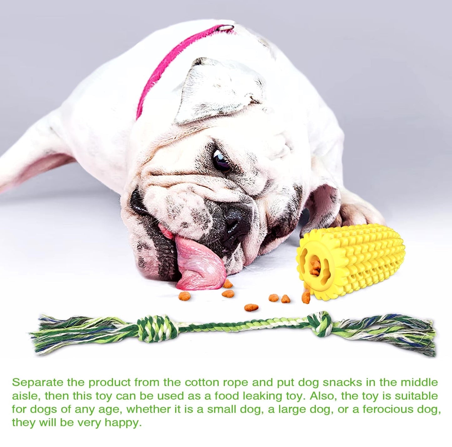 Indestructible Chew Toy for Aggressive Chewers Dog – Corn-Shaped Harmony Pet Supplies Scarborough