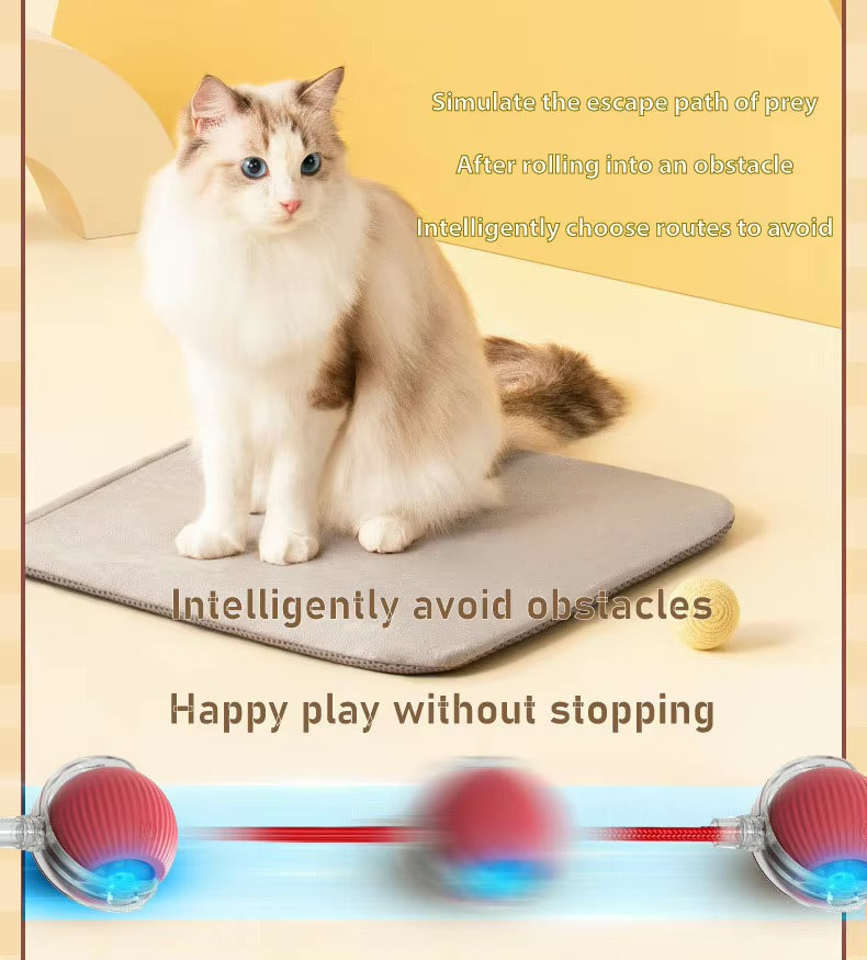 Vibrating Bouncing Ball – Interactive Toy for Cats & Dogs Harmony Pet Supplies Scarborough