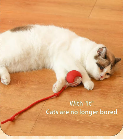 Vibrating Bouncing Ball – Interactive Toy for Cats & Dogs Harmony Pet Supplies Scarborough