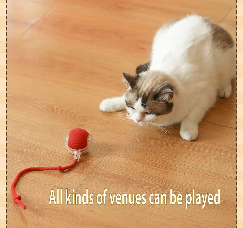 Vibrating Bouncing Ball – Interactive Toy for Cats & Dogs Harmony Pet Supplies Scarborough