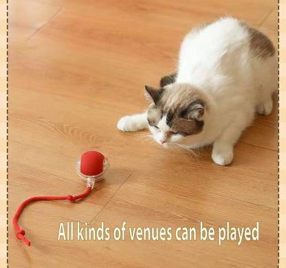 Vibrating Bouncing Ball – Interactive Toy for Cats & Dogs Harmony Pet Supplies Scarborough