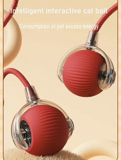 Vibrating Bouncing Ball – Interactive Toy for Cats & Dogs Harmony Pet Supplies Scarborough
