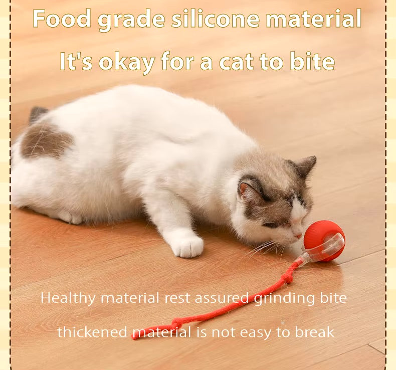 Vibrating Bouncing Ball – Interactive Toy for Cats & Dogs Harmony Pet Supplies Scarborough