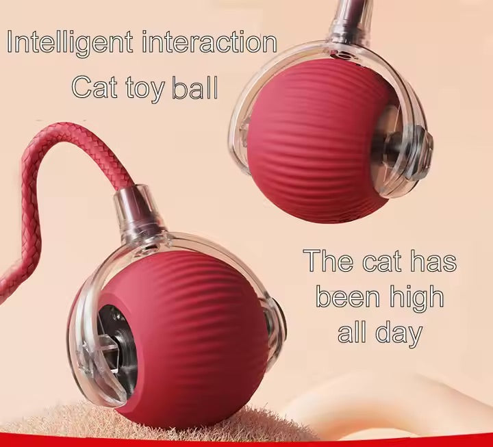 Vibrating Bouncing Ball – Interactive Toy for Cats & Dogs Harmony Pet Supplies Scarborough