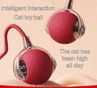 Vibrating Bouncing Ball – Interactive Toy for Cats & Dogs Harmony Pet Supplies Scarborough