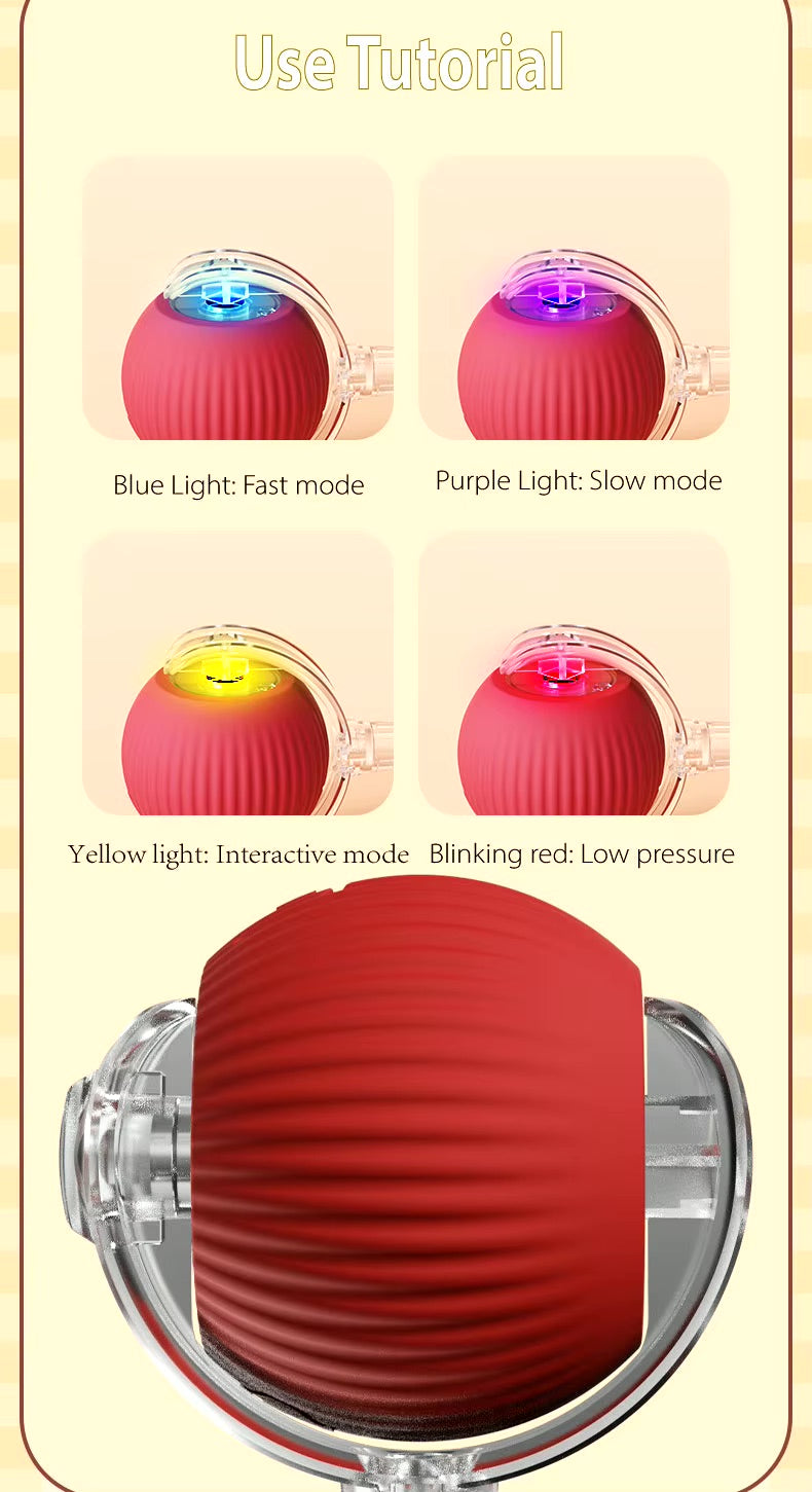 Vibrating Bouncing Ball – Interactive Toy for Cats & Dogs Harmony Pet Supplies Scarborough
