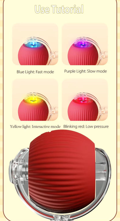 Vibrating Bouncing Ball – Interactive Toy for Cats & Dogs Harmony Pet Supplies Scarborough