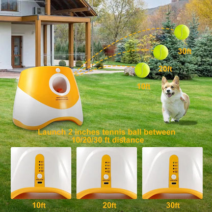 Automatic Interactive Ball Launcher Toy for Dogs Harmony Pet Supplies Scarborough