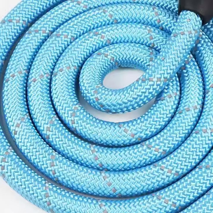 Reflective Dog Leash – Durable Safety for Night Walks Harmony Pet Supplies Scarborough