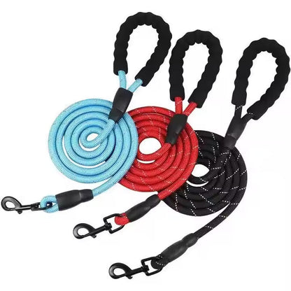 Reflective Dog Leash – Durable Safety for Night Walks Harmony Pet Supplies Scarborough