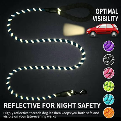 Reflective Dog Leash – Durable Safety for Night Walks Harmony Pet Supplies Scarborough
