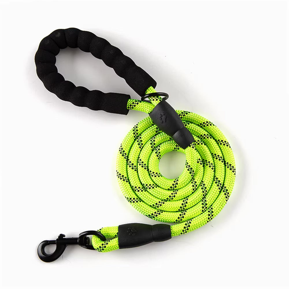 Reflective Dog Leash – Durable Safety for Night Walks Harmony Pet Supplies Scarborough