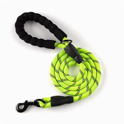 Reflective Dog Leash – Durable Safety for Night Walks Harmony Pet Supplies Scarborough