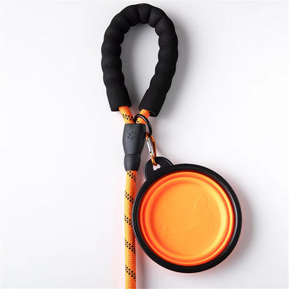 Reflective Dog Leash – Durable Safety for Night Walks Harmony Pet Supplies Scarborough