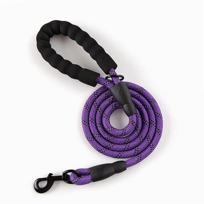 Reflective Dog Leash – Durable Safety for Night Walks Harmony Pet Supplies Scarborough