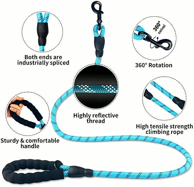 Reflective Dog Leash – Durable Safety for Night Walks Harmony Pet Supplies Scarborough