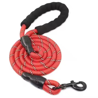 Reflective Dog Leash – Durable Safety for Night Walks Harmony Pet Supplies Scarborough