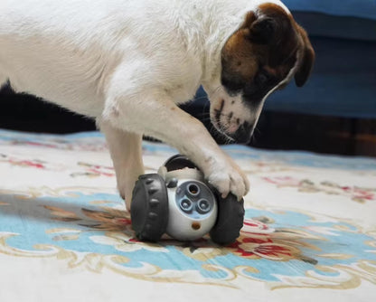 Interactive Robot Slow Feeder Toy – For Dogs & Cats Harmony Pet Supplies Scarborough