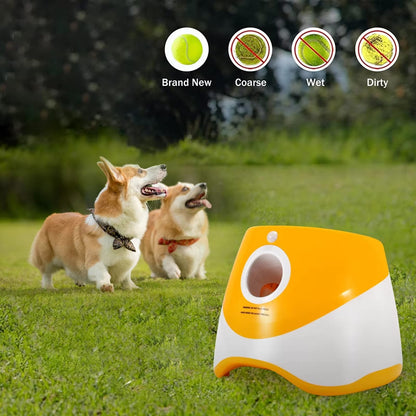 Automatic Interactive Ball Launcher Toy for Dogs Harmony Pet Supplies Scarborough