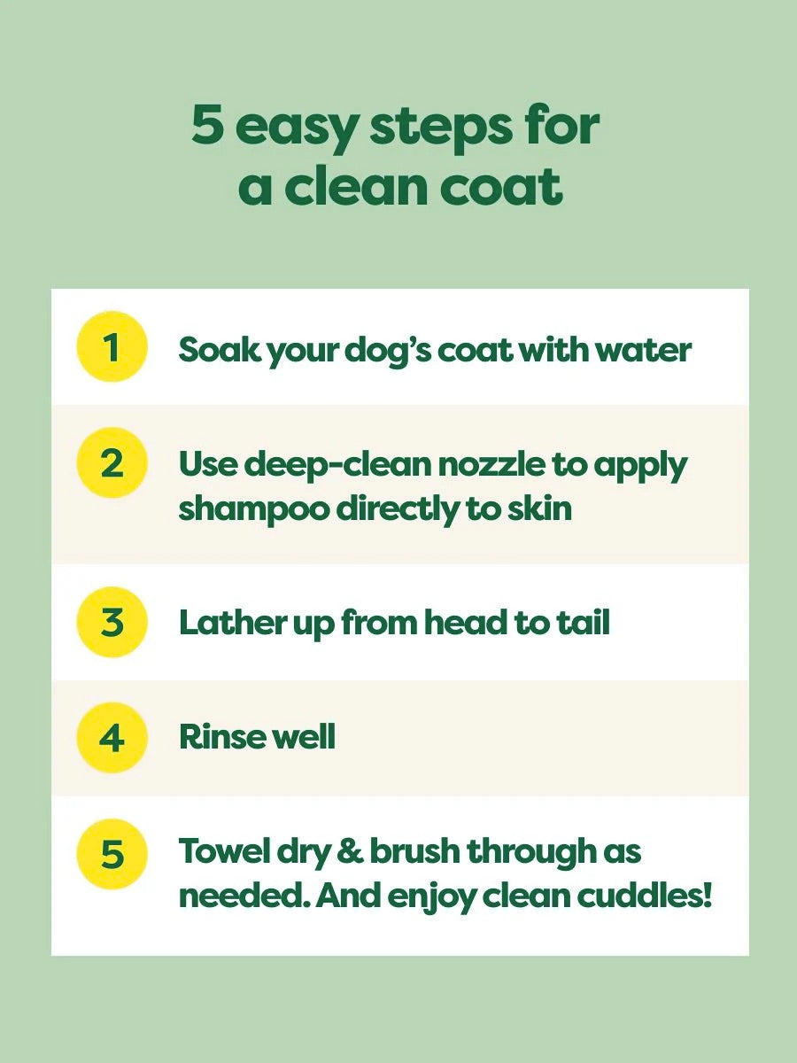 Steps for cleaning a dog's coat with a green background, instructions