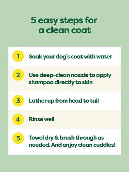 Steps for cleaning a dog's coat with a green background, instructions