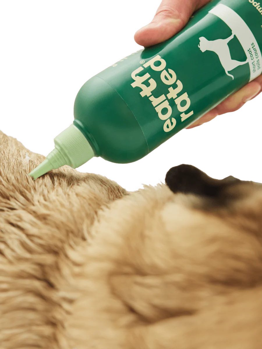 Person applying a green bottle labeled 'Ear Ted' to a dog's ear.