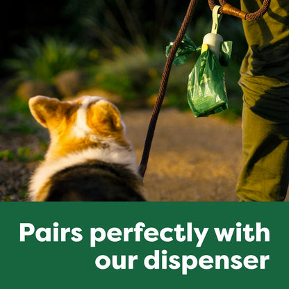 Dog looking at a green plastic earth rated poop bag dispenser held by a person outdoors. Available at Harmony Pet Supplies Scarborough
